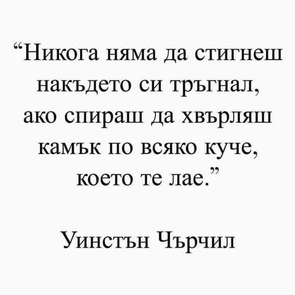 tanita_anwalt